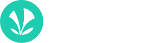 JioSaavn